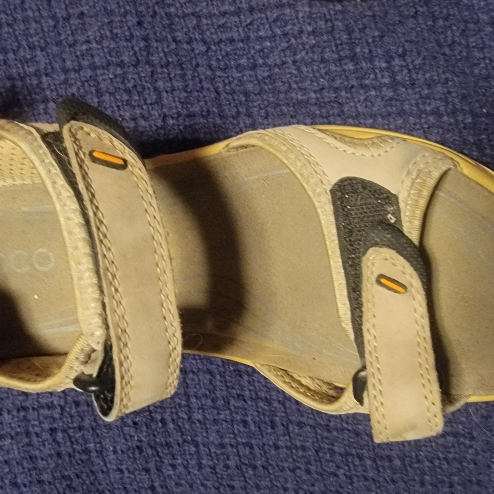 Beige and Black Sandals